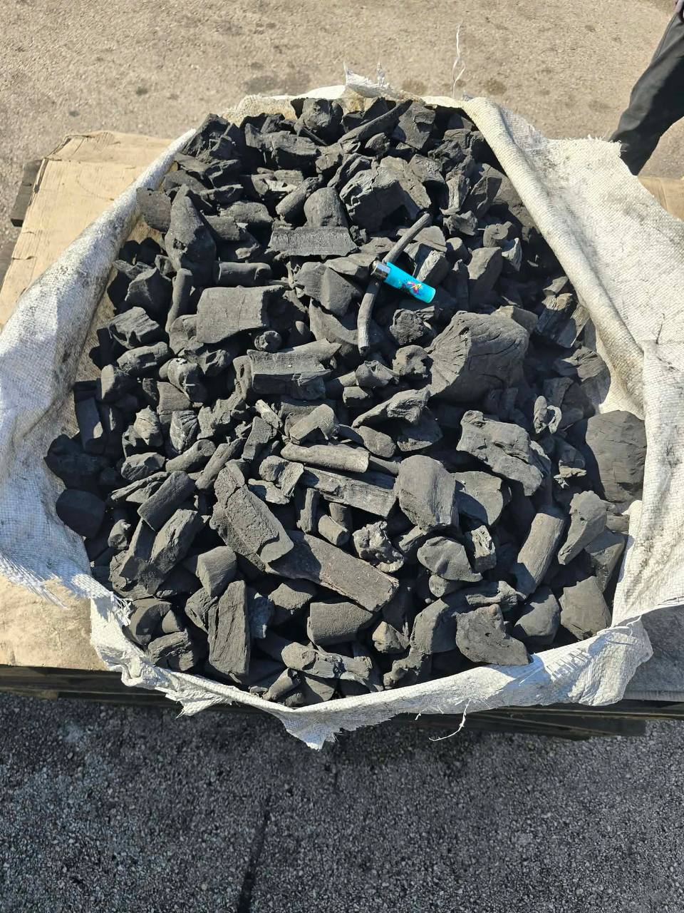 Acacia charcoal pieces close up
