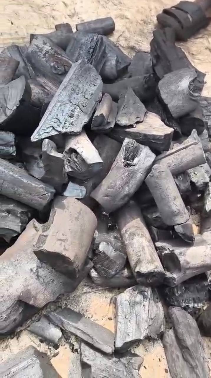 Halaban charcoal lumps close up