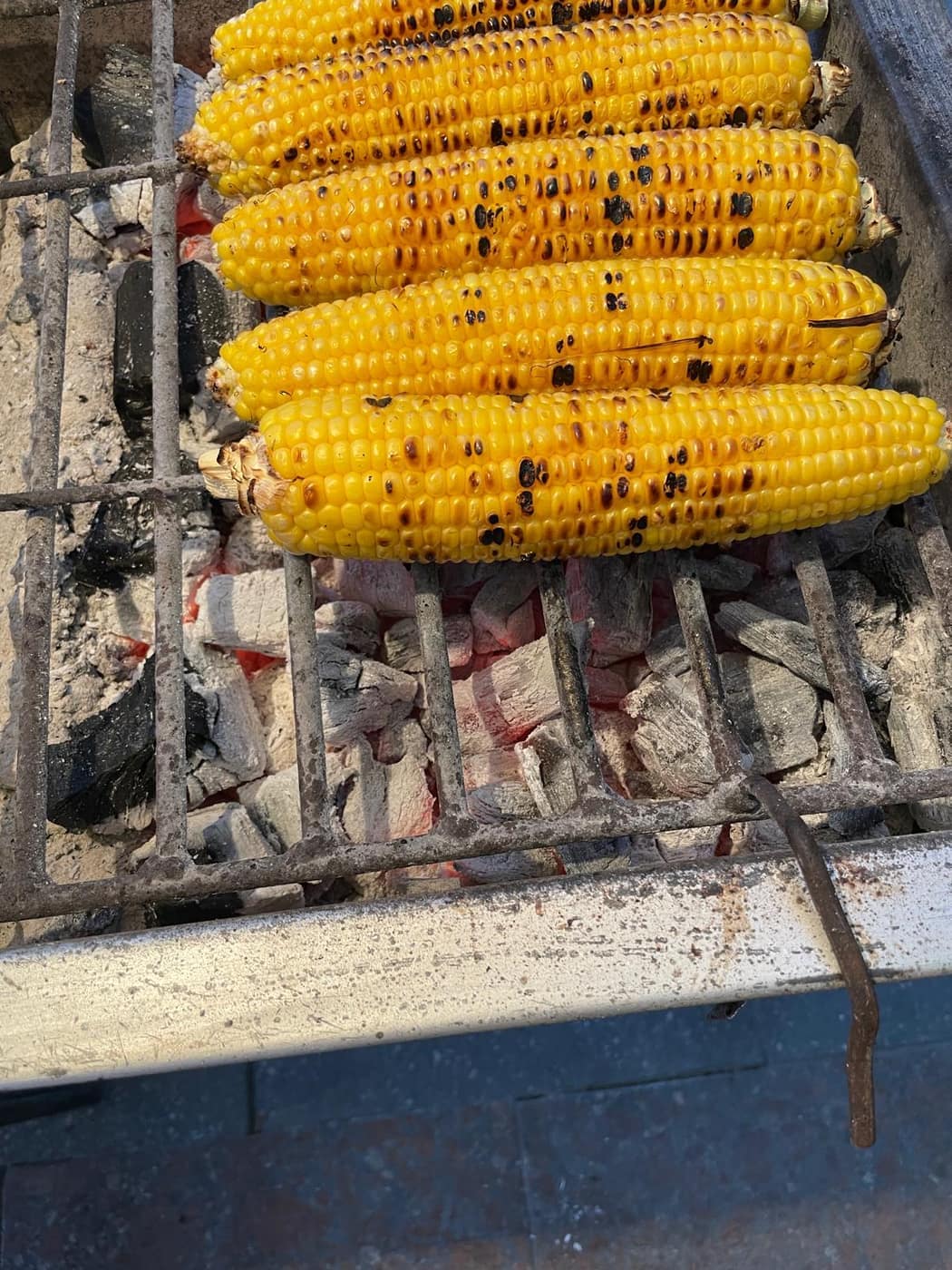 Grilling over acacia charcoal